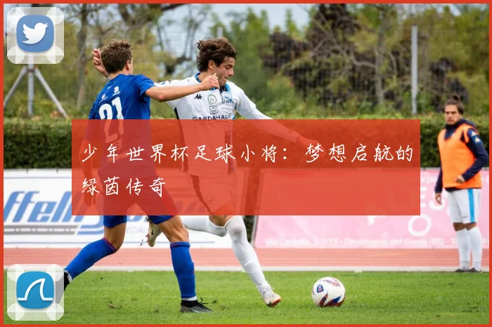 少年世界杯足球小将：梦想启航的绿茵传奇