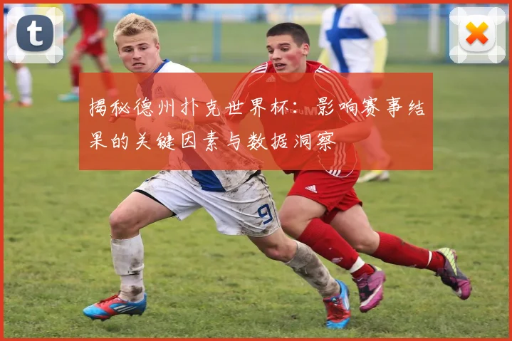 揭秘德州扑克世界杯:影响赛事结果的关键因素与数据洞察