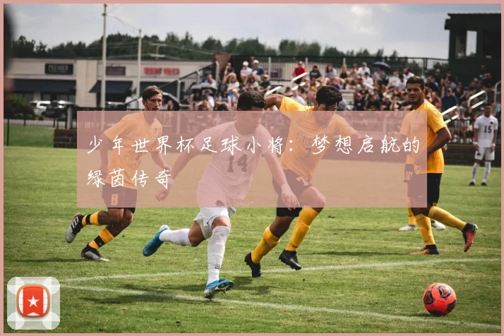 少年世界杯足球小将：梦想启航的绿茵传奇