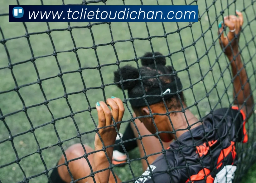 开云在线登录界面平台生态图